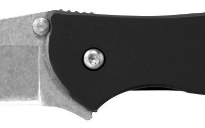 Kershaw Leek Black 1660SWBLK