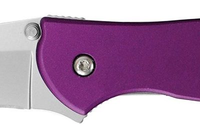 Kershaw Leek Purple 1660PUR